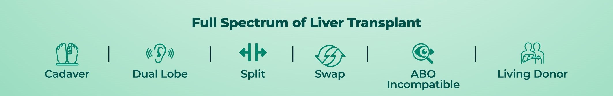 Liver Transplant Our Edge